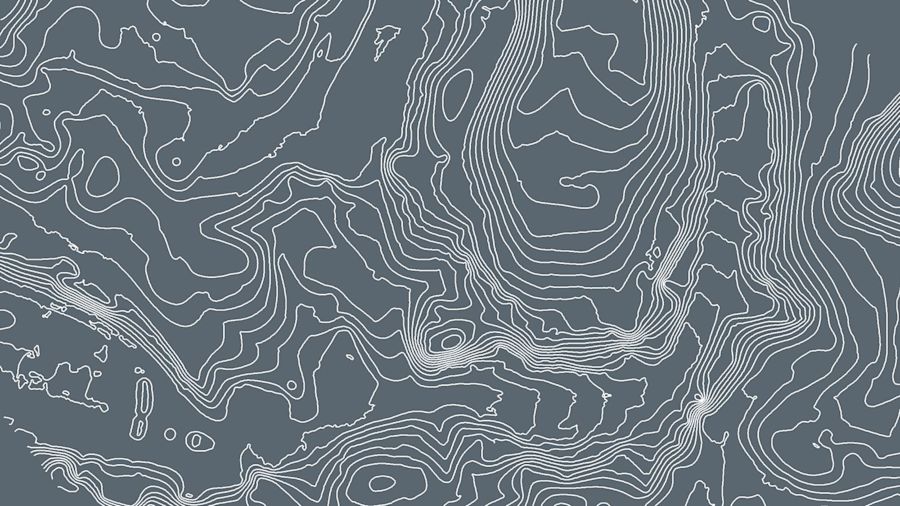 Digital surface model (DSM)